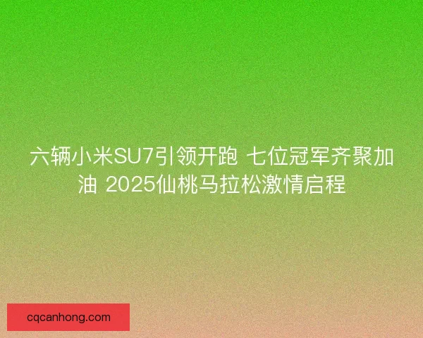 六辆小米SU7引领开跑 七位冠军齐聚加油 2025仙桃马拉松激情启程 六辆小米SU7引领开跑 七位冠军齐聚加油 2025仙桃马拉松激情启程