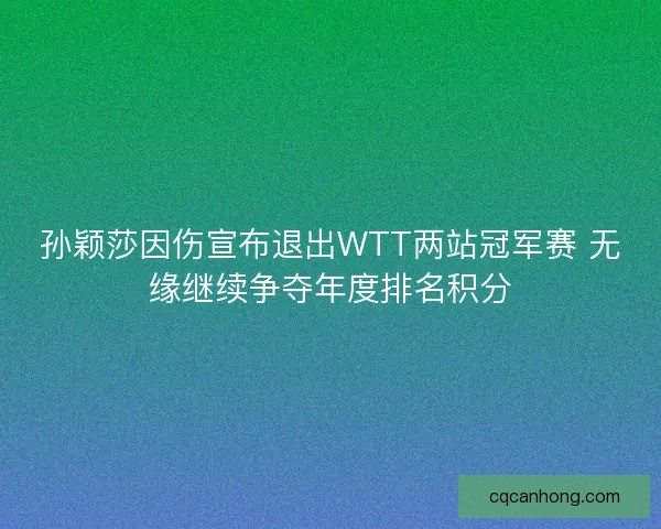 孙颖莎因伤宣布退出WTT两站冠军赛 无缘继续争夺年度排名积分