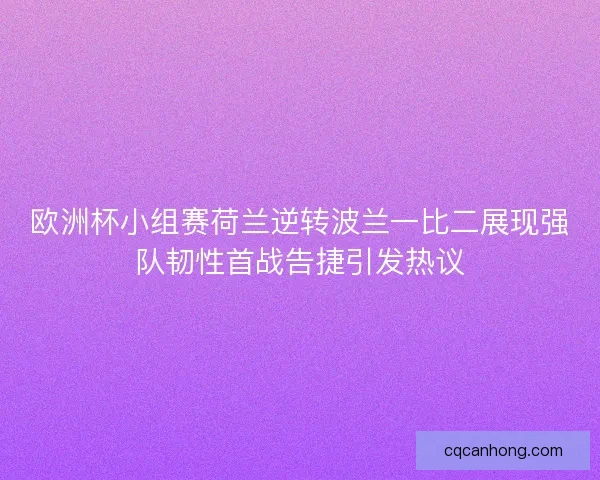 欧洲杯小组赛荷兰逆转波兰一比二展现强队韧性首战告捷引发热议
