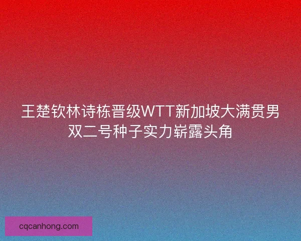 王楚钦林诗栋晋级WTT新加坡大满贯男双二号种子实力崭露头角