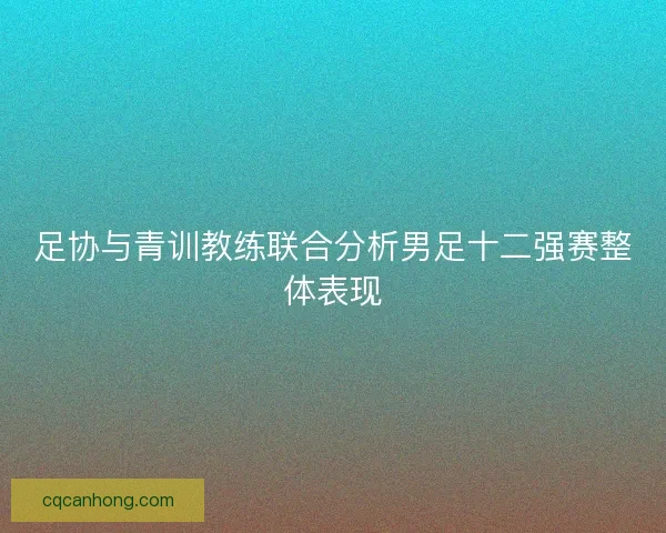足协与青训教练联合分析男足十二强赛整体表现 足协与青训教练联合分析男足十二强赛整体表现